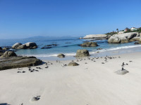 Boulders Beach Penguin Colony